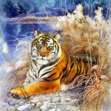 Cross stitch pattern: #2016158