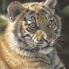 Cross stitch pattern: #2016187