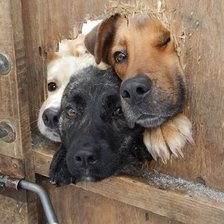 Cross stitch pattern: #2016224