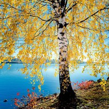 Cross stitch pattern: #2016414