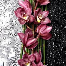 Cross stitch pattern: #2017044