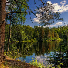 Cross stitch pattern: #2017134