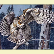 Cross stitch pattern: #2017759