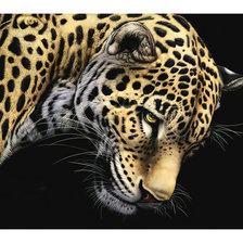 Cross stitch pattern: #2017771