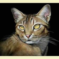 Cross stitch pattern: #2017774