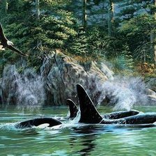 Cross stitch pattern: #2017837