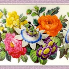 Cross stitch pattern: #2017945