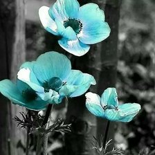 Cross stitch pattern: #2018954