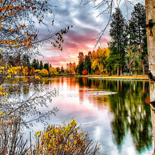 Cross stitch pattern: #2019479