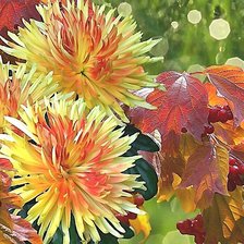 Cross stitch pattern: #2019925