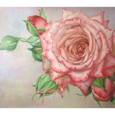 Cross stitch pattern: #2020953