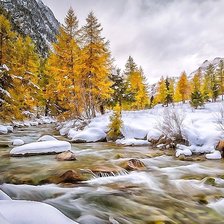 Cross stitch pattern: #2023212