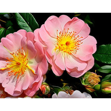 Cross stitch pattern: #2023230