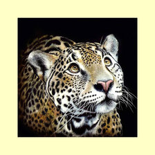 Cross stitch pattern: #2023388