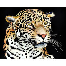 Cross stitch pattern: #2023393