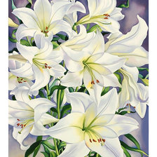 Cross stitch pattern: #2023441