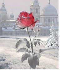 Cross stitch pattern: #2023517