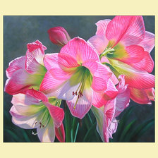 Cross stitch pattern: #2023875