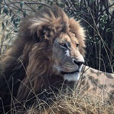 Cross stitch pattern: #2023963