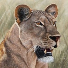 Cross stitch pattern: #2024647