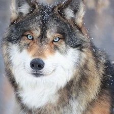 Cross stitch pattern: #2024797