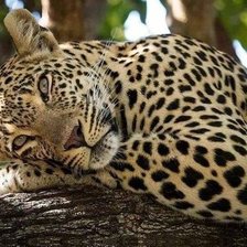 Cross stitch pattern: #2025158