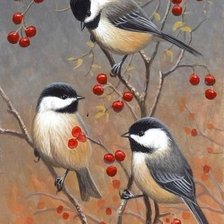 Cross stitch pattern: #2025792