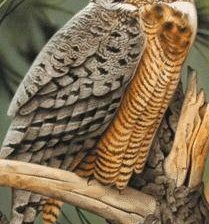 Cross stitch pattern: #2026168