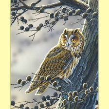 Cross stitch pattern: #2026246