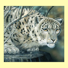 Cross stitch pattern: #2026253