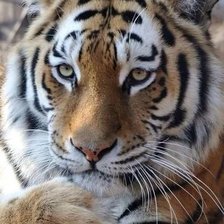 Cross stitch pattern: #2026373