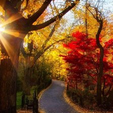 Cross stitch pattern: #2026663