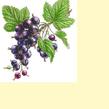 Cross stitch pattern: #2027546