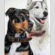 Cross stitch pattern: #2027911