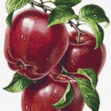 Cross stitch pattern: #2028464