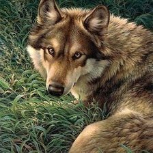 Cross stitch pattern: #2029005