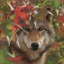 Cross stitch pattern: #2029023