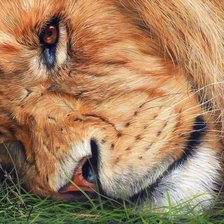 Cross stitch pattern: #2029055