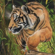 Cross stitch pattern: #2029103