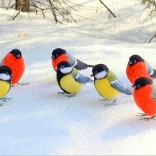 Cross stitch pattern: #2029127