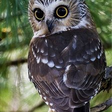 Cross stitch pattern: #2030326