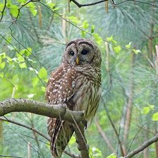 Cross stitch pattern: #2030327