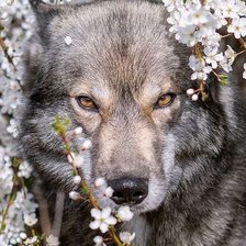 Cross stitch pattern: #2030415