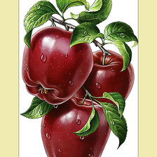 Cross stitch pattern: #2030728