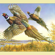 Cross stitch pattern: #2030736