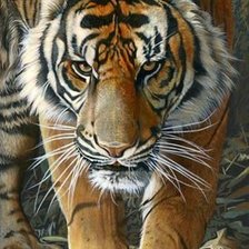 Cross stitch pattern: #2033240