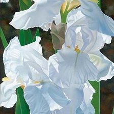 Cross stitch pattern: #2033307