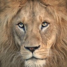 Cross stitch pattern: #2033607