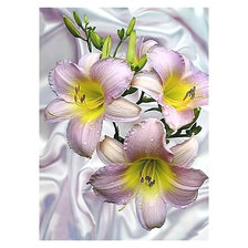 Cross stitch pattern: #2033763