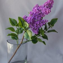 Cross stitch pattern: #2033870